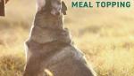 Freeze-Dried Beef Liver Treats for Dogs & Cats