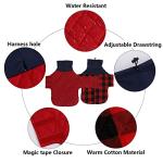 Geyecete Dachshund Coat,Dachshund Winter Coat,Warm Waterproof Windproof, High Neckine String Holes Miniature Dachshund Jacket for Small Dog-Red-M