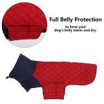 Geyecete Dachshund Coat,Dachshund Winter Coat,Warm Waterproof Windproof, High Neckine String Holes Miniature Dachshund Jacket for Small Dog-Red-M