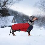 Geyecete Dachshund Coat,Dachshund Winter Coat,Warm Waterproof Windproof, High Neckine String Holes Miniature Dachshund Jacket for Small Dog-Red-M