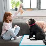 JOINPADS 120 Count 36” x 36” Extra Large-Jumbo Disposable Training Pads for Dogs, Puppies, Cats, Rabbits - Thicken Super Absorbent Potty Pads