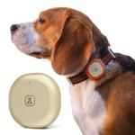 Molly&Cody GPS Dog/Cat Tracker, Multi-Mode GPS/Bluetooth, Real-Time Tracking for Pet Collar with Virtual Fence, Long Battery, IP67 Waterproof, Health Monitor, 1-Year Record, iOS/Android App (Gold)