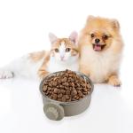 Lightweight Stainless Steel Pet Feeder Bowls - 2 Pack