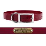 Outdoor Dog Supply 1" Heavy Duty Waterproof D-Ring Dog Collar for Medium & Large Dogs with Custom 3/4" Brass Nameplate (Burgundy, 21")