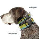 Scooby Doo Pet Collar, Dog Collar Plastic Buckle, Scooby Doo The Mystery Machine Paint Job Green Aqua Orange, 9.5 to 14.5 Inches 0.5 Inch Wide