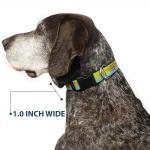 Scooby Doo Pet Collar, Dog Collar Plastic Buckle, Scooby Doo The Mystery Machine Paint Job Green Aqua Orange, 9.5 to 14.5 Inches 0.5 Inch Wide
