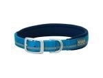 Terrain D.O.G. Reflective Neoprene Lined Dog Collar, 19" (17 - 20 in., 1 in. width), Blue