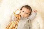 Angel Dear - Brown Giraffe, Blankie