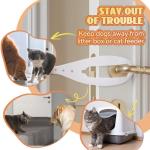 Cat Door Latch Set to Keep Dogs Out