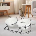 Tilted Ceramic Cat Bowls for Easy Eating