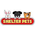 Shelter Pets Series Two: Xena - 10" Grey and White Mini Horse Plush Toy Stuffed Animal - Based on Real-Life Adopted Pets - Benefiting The Animal Shelters They were Adopted from - Miniature