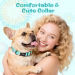 Kazazoo Dog Collar Cute and Soft Nylon Puppy Collar for Boy and Girl, Adjustable Dog Collars for Small Medium Dogs, Blue Sunflowers-M