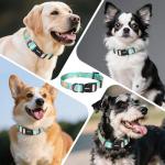 Kazazoo Dog Collar Cute and Soft Nylon Puppy Collar for Boy and Girl, Adjustable Dog Collars for Small Medium Dogs, Blue Sunflowers-M