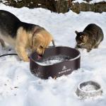 Heated Water Bowl for Outdoor Dogs Cats, 3.7L Thermostatic Heated Pet Bowl for Outside Dog Cat Chickens Duck Birds Waterer in Winter, Automatic Heated Dog Bowl Outdoor with Anti Chew Cord