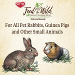 Kaytee Wild Snack for Rabbits and Guinea Pigs