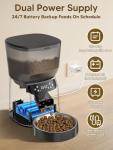 Automatic Cat Feeder and Water Fountain Combo