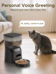 Automatic Cat Feeder and Water Fountain Combo