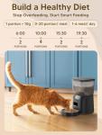 Automatic Cat Feeder and Water Fountain Combo