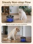 Automatic Cat Feeder and Water Fountain Combo