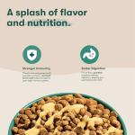 Jinx Kibble Sauce for Dogs - Premium Dog Food Kibble Topper Sauce & Flavor Booster Made with Beef Bone Broth - All-Natural Ingredients, No Additives or Fillers - 12 Oz