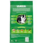IAMS Proactive Health Minichunks Adult Dry Dog Food with Real Chicken, 7 lb. Bag