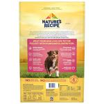 Nature's Recipe Grain Free Dry Dog Food, Salmon, Sweet Potato & Pumpkin Recipe, 12 lb. Bag