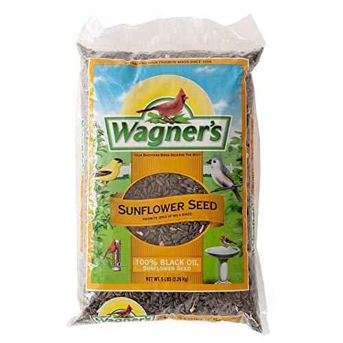 Bird Food