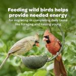 Kaytee All American Wild Bird Food Seed Blend, 5 Pound