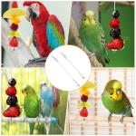 Nogeqi 2PCS Bird Cage Food Holder with Hook, Stainless Steel Bird Feeder for Cage, Parrot Fruit Skewers, Bird Foraging Toys for Macaw Parakeet Parrot Budgie (2 Sizes)