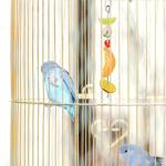 3 PCS Bird Food Holder, Small Animal Stainless Steel Fruit Vegetable Stick Holder Bird Feeder Toy Cage Foraging Hanging Food Feed Treating Tool for Parrots Cockatoo Cockatiel