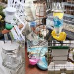 ArrErr 10 Pack Small Animal Water Bottle Holder Spring Replacement Cage Water Bottles Spring Mount with Clips for Pet Playpen Rabbit Cage Water Feeder Water Dispenser Guinea Pig Hamster Bunny Ferret
