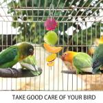 3 PCS Bird Food Holder, Small Animal Stainless Steel Fruit Vegetable Stick Holder Bird Feeder Toy Cage Foraging Hanging Food Feed Treating Tool for Parrots Cockatoo Cockatiel