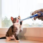 Pet Feeding Kit with Silicone Nipples and Syringes for Kittens, Puppies, Small Animals, 2 Nipples + 2 Syringes (2)