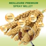 MEILLEURE 2LB Spray Millet Bird Treat for Parakeets, Natural Sun-Dried Birds Millet Spray for Parrots, Finches, Cockatiel, Budgie & Hamster, Bird Food Bulk