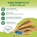 MEILLEURE 2LB Spray Millet Bird Treat for Parakeets, Natural Sun-Dried Birds Millet Spray for Parrots, Finches, Cockatiel, Budgie & Hamster, Bird Food Bulk