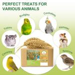 MEILLEURE 2LB Spray Millet Bird Treat for Parakeets, Natural Sun-Dried Birds Millet Spray for Parrots, Finches, Cockatiel, Budgie & Hamster, Bird Food Bulk
