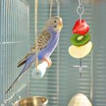 3Pcs Parrot Fruit Stick Feeder Fruit Vegetable Treats Skewer Bird Cage Stainless Steel Food Holder for Hanging Bird Foraging Toys for Macaw Parakeet Budgie (3 Sizes)