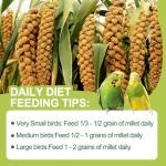 MEILLEURE 2LB Spray Millet Bird Treat for Parakeets, Natural Sun-Dried Birds Millet Spray for Parrots, Finches, Cockatiel, Budgie & Hamster, Bird Food Bulk