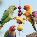 3Pcs Parrot Fruit Stick Feeder Fruit Vegetable Treats Skewer Bird Cage Stainless Steel Food Holder for Hanging Bird Foraging Toys for Macaw Parakeet Budgie (3 Sizes)