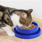 GRPET Ants Away Dog Bowl Cat Puppy Food Bowls Round No Spill Eating Feeder for Small Animals Brown S