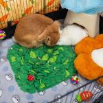 ORZECHKO Rabbit Foraging Mat, Interactive Bunny Foraging Toy Indoor, Soft Pet Feeding Mat Toy Also for Hedgehog, Guinea Pig, Hamster, Chinchilla, Kitten, Puppy, Small Animals