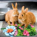 Small Animals Foraging Mat – Cute Rabbit Feeding Mat with Fun Design, Slow Eat Durable Fleece Pad for Rabbits, Hamsters, Guinea Pigs (Green)