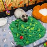 ORZECHKO Rabbit Foraging Mat, Interactive Bunny Foraging Toy Indoor, Soft Pet Feeding Mat Toy Also for Hedgehog, Guinea Pig, Hamster, Chinchilla, Kitten, Puppy, Small Animals