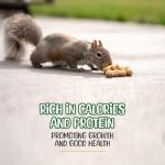 Premium Quality Raw Peanuts in Shell - 1 Pounds – All-Natural Food for Squirrels, Deer, Birds, and Other Wildlife Animals – Grown in The USA for Healthy Nutrition