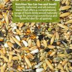 KikiBirds Premium Parrot Food| Protein-Rich Low-Fat Formula | Cockatiel, Conure, Lovebird, Quaker, Parrotlet | No Corn, Soy, Peanuts | Gourmet Whole Grains & Seeds | Daily Maintenance Blend (1 lb)
