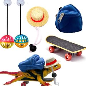 5 Pack Bearded Dragon Accessories Toy Set Backpack Hat Mini Skateboard for Turtle Tortiose Hamster Parrot Reptiles Small Animal Pets Lizard Ball Bell Toy Breed Ball Feeder Toy