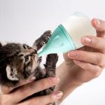 RockTech Ergonomic Kitten Bottle Feeding kit, Puppy Bottles for Nursing Puppy Milk -40ml Anti-Choking Slow Flow Nursing Bottle for Newborn Kittens/Puppies/Small Animals,Silicone Feeder (Blue)