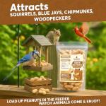 Trailmark Naturals - 5 LB - Raw Peanuts For Squirrels, Raw In Shell Peanuts For Birds and Wildlife- Squirrel Food, Wild Bird Seed - Grown in The USA