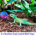5 Pack Bearded Dragon Accessories Toy Set Backpack Hat Mini Skateboard for Turtle Tortiose Hamster Parrot Reptiles Small Animal Pets Lizard Ball Bell Toy Breed Ball Feeder Toy