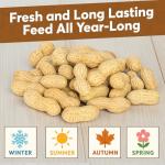 Trailmark Naturals - 5 LB - Raw Peanuts For Squirrels, Raw In Shell Peanuts For Birds and Wildlife- Squirrel Food, Wild Bird Seed - Grown in The USA
